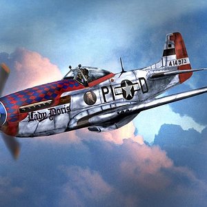 P-51 Ray Burwell 356th FG DFC  800 x 600