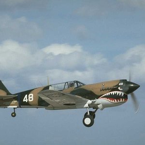 P-40 Warhawk  800 x 600