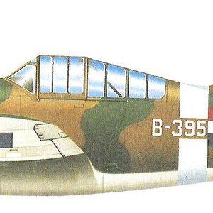Brewster B-339D Buffalo_4.jpg
