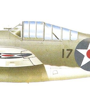 Brewster F2A-3 Buffalo_3.jpg