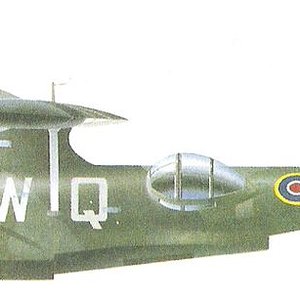 Consolidated Catalina GR.Mk IIA_3.jpg