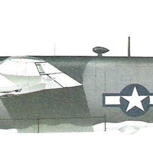 Consolidated PB4Y-1 Liberator_3.jpg