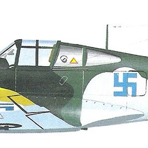 Curtiss Hawk 75A-3_3.jpg