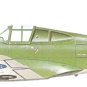 Curtiss Hawk 75A-5_3.jpg