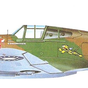 Curtiss Hawk 81A-2_5.jpg