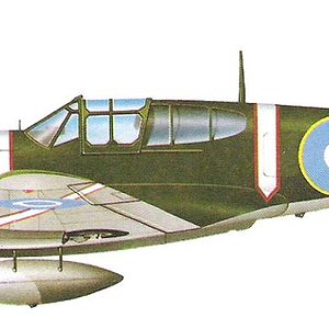 Curtiss Kittyhawk Mk III_6.jpg