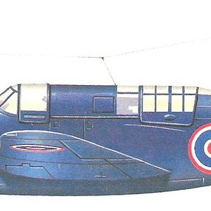 Curtiss SB2C-5 Helldiver_3.jpg