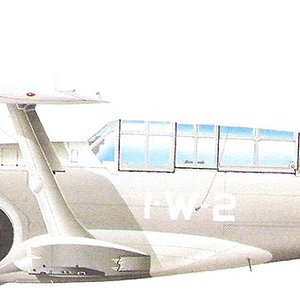 Curtiss SBC-4 Helldiver_5.jpg