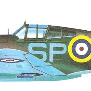 Curtiss Tomahawk Mk I_5.jpg