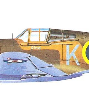 Curtiss Tomahawk Mk IIB_6.jpg