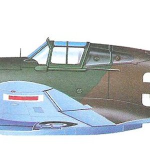 Curtiss Tomahawk Mk IIB_8.jpg