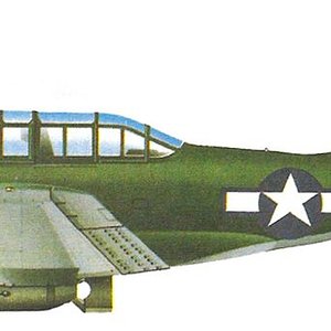 Douglas A-24B_1.jpg