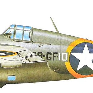 Grumman F4F-4 Wildcat_6.jpg