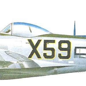 Republic P-47D Thunderbolt_5.jpg