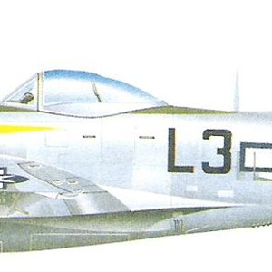 Republic P-47D Thunderbolt_8.jpg