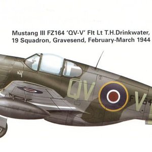 Mustang_MkIII_QV-V_19sdn_Flt_Lt_T_Drinkwater