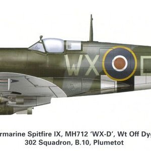 Spitfire_Mk_IX_WX-D_302sdn_polish