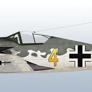 Fw 190 winter