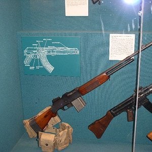 BAR and STG-44 display