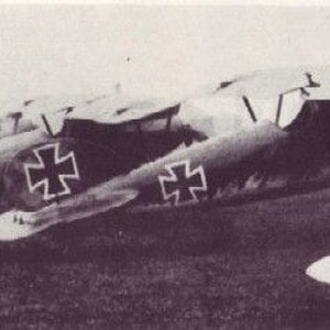 Albatros_D_V