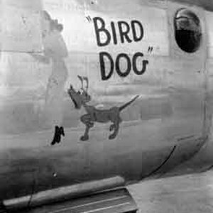 Bird Dog 384th BG