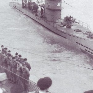 U-95