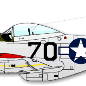 Anonymous 332nd FG P-51D