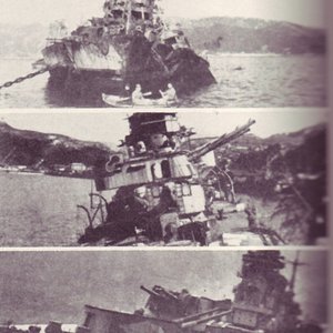 Remnants of the Imperial Japanese fleet