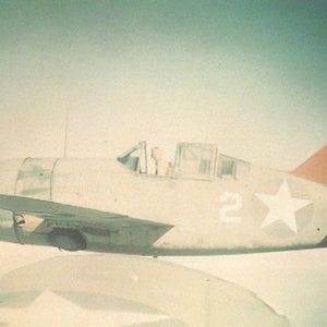 Brewster F2A-3 Buffalo