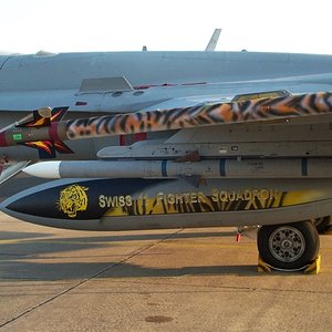 Painted Ordnance