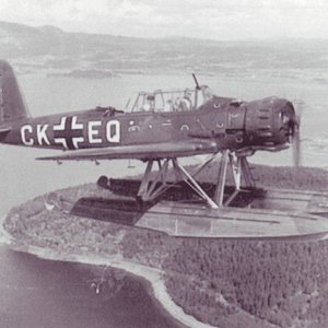 Arado Ar 196A