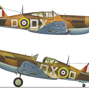 Curtiss Tomahawk Mk IIIB