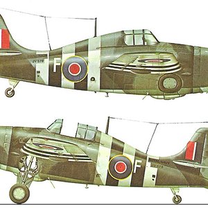 Grumman Wildcat Mk V