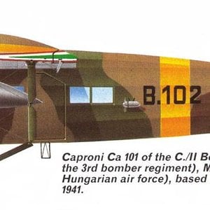 Caproni Ca.101