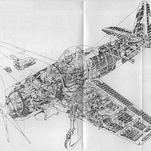 f8f_cutaway