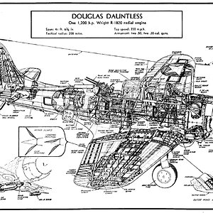 douglasdauntlesscutaway