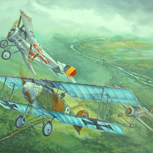 German_Albatros_D-II