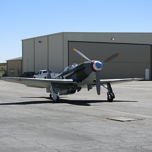 yak2