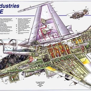 t_50cutaway