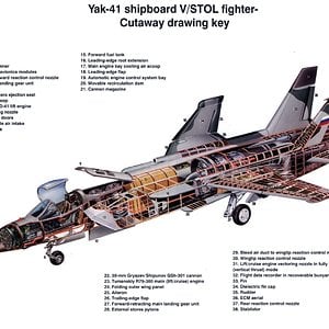 yak41big