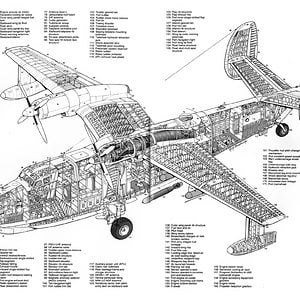 berievbe12_cutaway1