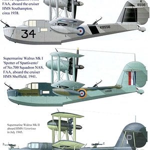 Supermarine Walrus