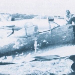 Nakajima Ki-43-1b Hayabusa (Peregrine Falcon)