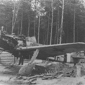 Focke-Wulf Fw 190D-9