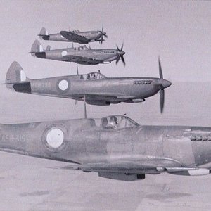 Supermarine Spitfire LF Mk.VIII