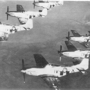 Flight of mustangs from the 359th FG