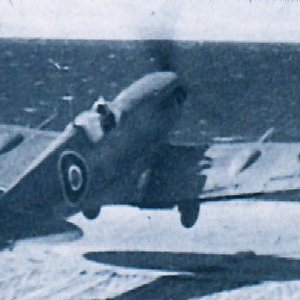 Supermarine Seafire Mk.IIC