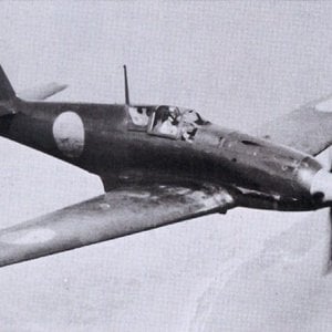 Kawasaki Ki-61-Ib Hien (Swallow)
