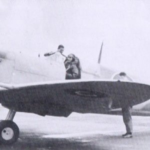 Supermarine Spitfire Mk.VB (trop)