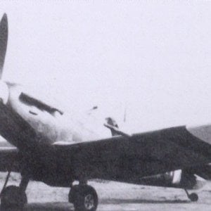 Supermarine Spitfire LF.Mk.VB